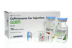 Cephalosporins